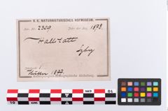 Etikett zu Bronzearmreif (NHMW-PRAE-002309)